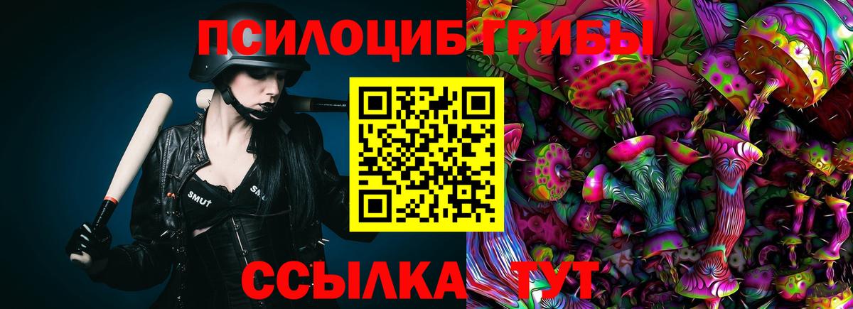 Псилоцибиновые грибы мицелий Гурьевск