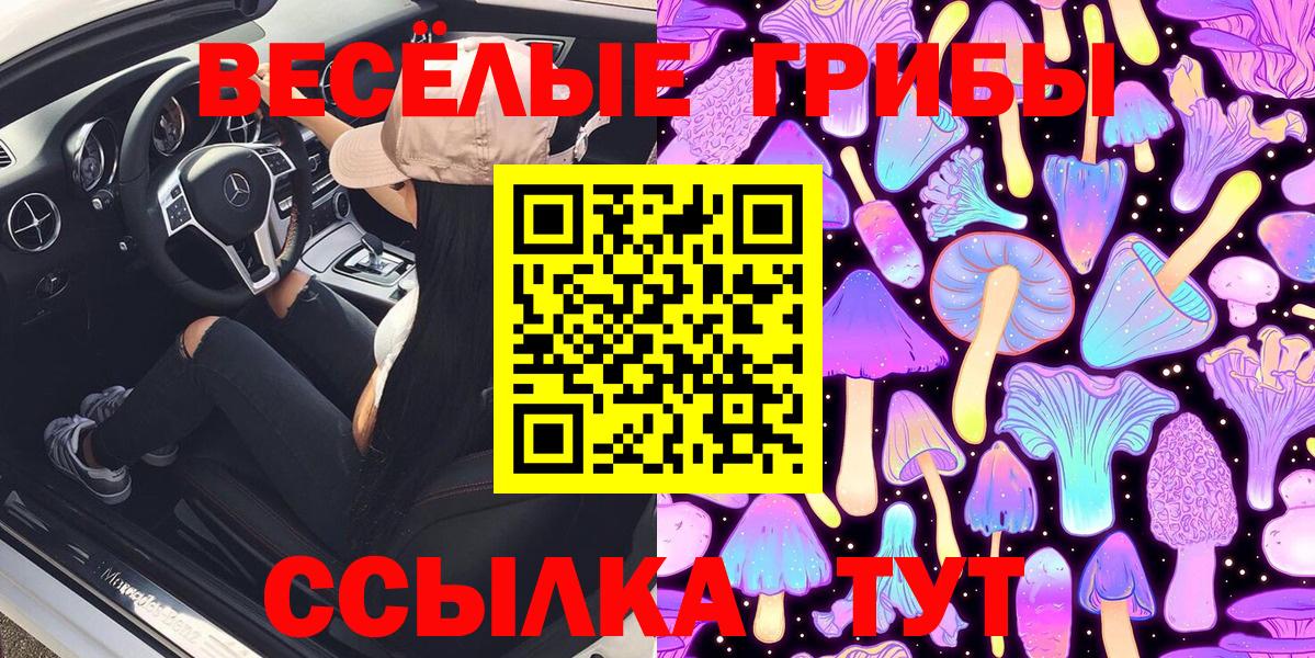 Галлюциногенные грибы Psilocybe  Псилоцибиновые грибы GOLDEN TEACHER  Вход с VPN  Гурьевск 